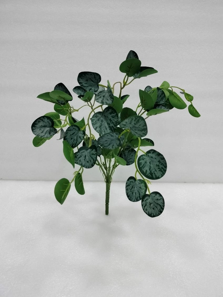 Satin Photos Money Plant Hanging Bunch Med